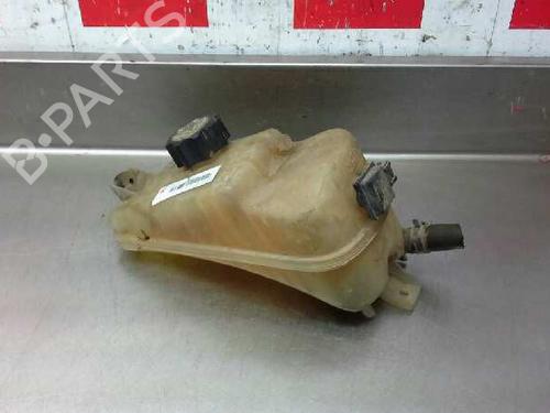 Expansion tank CITROËN BERLINGO / BERLINGO FIRST MPV (MF_, GJK_, GFK_) 2.0 HDI 90 (MFRHY) | BP11061122C120