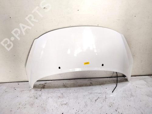 Used Hood Hood PEUGEOT 207 SW (WK_) 1.4 16V (95 hp) 40491810 40491810