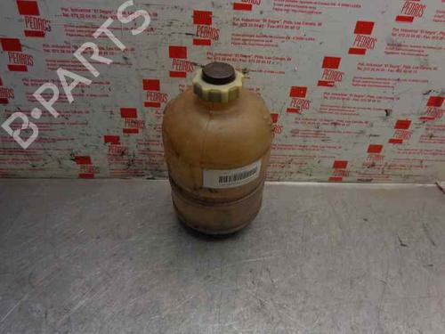 Expansion tank RENAULT RAPID Box Body/MPV (F40_, G40_)  | BP5213829C120 
