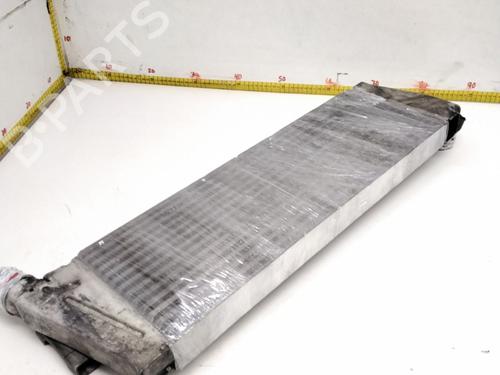 Intercooler RENAULT MEGANE II (BM0/1_, CM0/1_)  | BP10655887M30 