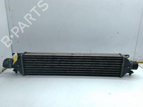 Used Intercooler Intercooler FIAT DOBLO Cargo (263_) 1.3 D Multijet (263WXU1A, 263ZXU1A, 263WYB1A, 263ZYB1A) (95 hp) 33621282 33621282