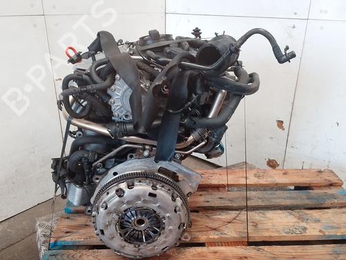 Moteur VW PASSAT B6 (3C2) 2.0 TDI 16V | BP29944870M1