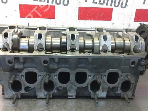 Used Cylinder head SEAT IBIZA III (6L1) [2002-2009]  10976917