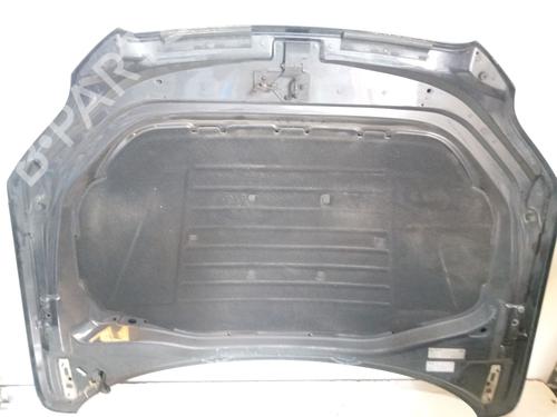 Hood AUDI Q7 (4LB) 3.0 TDI quattro | BP18355130C1