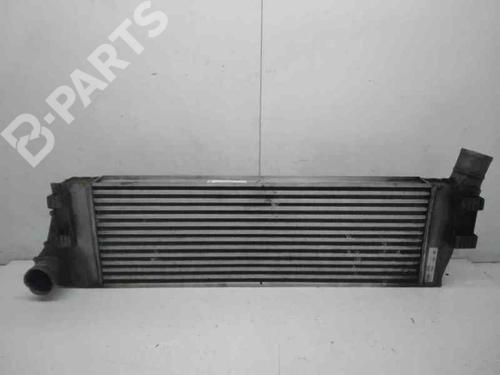 Used Intercooler Intercooler RENAULT SCÉNIC II (JM0/1_) 1.9 dCi (JM14) (131 hp) 10655946 10655946