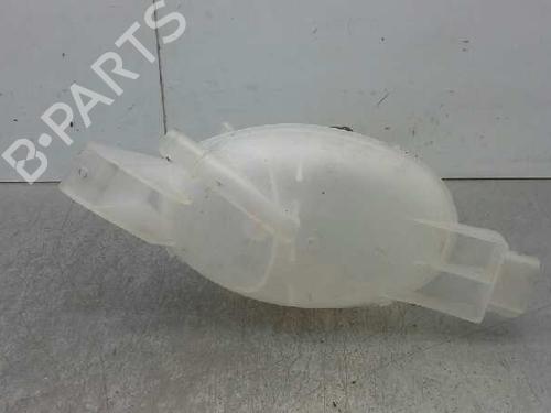 Expansion tank OPEL MOVANO B Van (X62) 2.3 CDTI FWD (FV) | BP1621596C120 