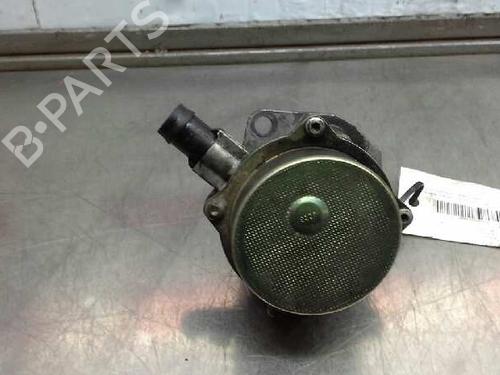 Vacuum pump RENAULT KANGOO (KC0/1_) 1.5 dCi | BP1620488M80 