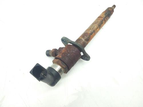Injector LAND ROVER DISCOVERY III (L319) 2.7 TD 4x4 | BP17650743M100 