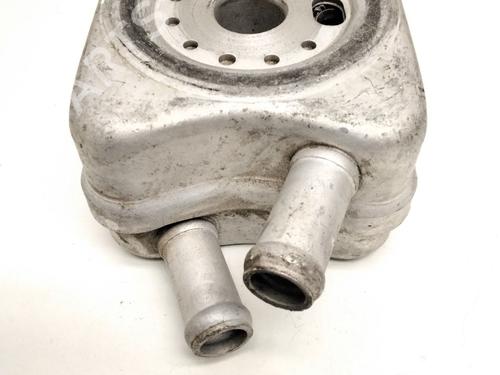 Used Oil radiator VW TRANSPORTER T5 Bus (7HB, 7HJ, 7EB, 7EJ) [2003-2016]  18244594