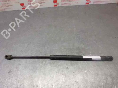 Used Tailgate lift support CITROËN C3 I (FC_, FN_) [2002-2013]  14319250