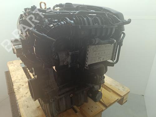 Engine VW GOLF VIII (CD1, DA1)  | BP16481319M1 
