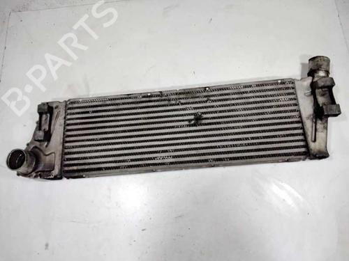 Used Intercooler RENAULT MEGANE II (BM0/1_, CM0/1_) [2001-2012]  10655887