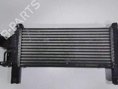 intercooler-nissan-pathfinder-iii-r51-v4454002-144615x00a-2005-15681571 main image