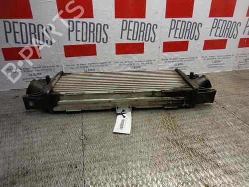 Intercooler IVECO DAILY IV Van  | BP1952412M30 