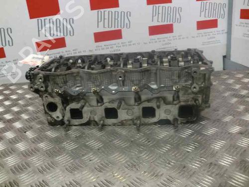Cylinder head NISSAN ALMERA TINO (V10) 2.2 dCi | BP10976613M5 