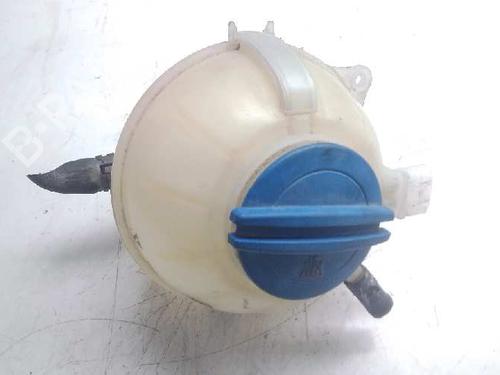 Expansion tank SEAT IBIZA IV (6J5, 6P1)  | BP10009457C120 
