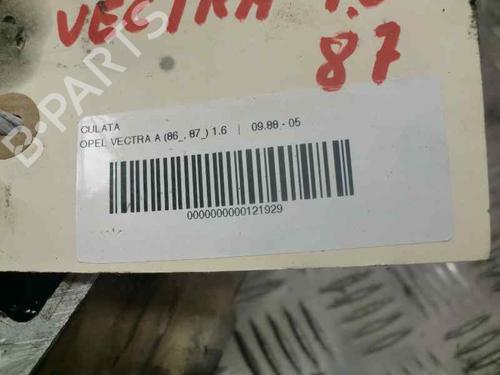 Cylinder head OPEL VECTRA A (J89) 1.6 (F19, M19) | BP10976582M5 