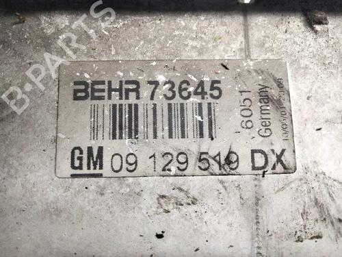 Intercooler OPEL ZAFIRA A MPV (T98)  | BP16080355M30 