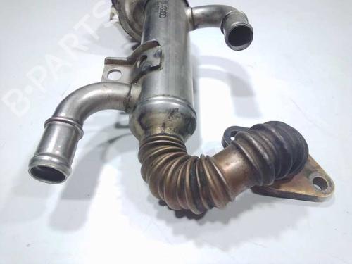 Egr SEAT IBIZA III (6L1)  | BP14310496M69