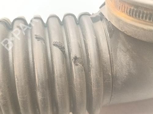 Pipe BMW 3 Touring (E91)  | BP29886260M125