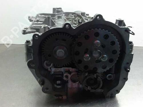 Cylinder head NISSAN PATHFINDER III (R51)  | BP16430859M5 