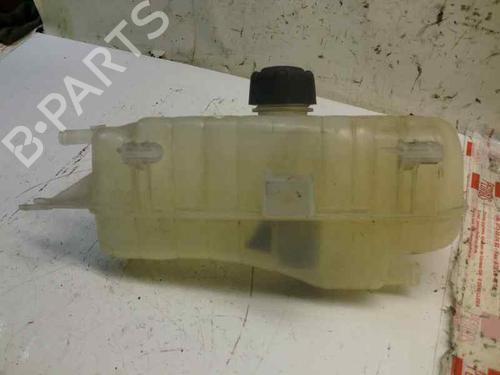 Expansion tank RENAULT CLIO III (BR0/1, CR0/1)  | BP1619021C120 