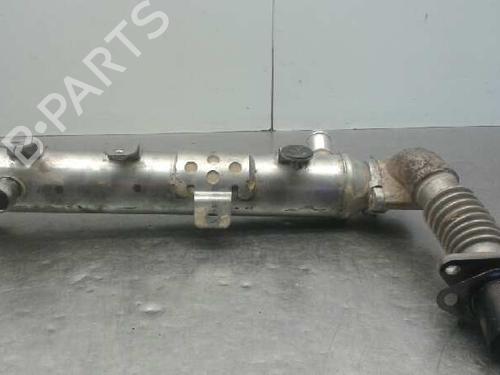 Egr HYUNDAI ix55  | BP14315933M69 