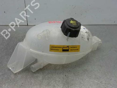 Used Expansion tank OPEL MOVANO B Van (X62) 2.3 CDTI FWD (FV) (131 hp) 1621596