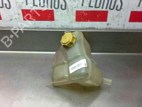 Used Expansion tank FORD FIESTA V (JH_, JD_) 1.6 TDCi (90 hp) 1619933