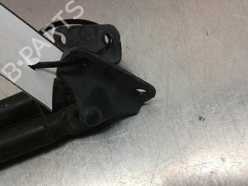 Tailgate lift support OPEL CORSA D (S07)  | BP14315262C138 