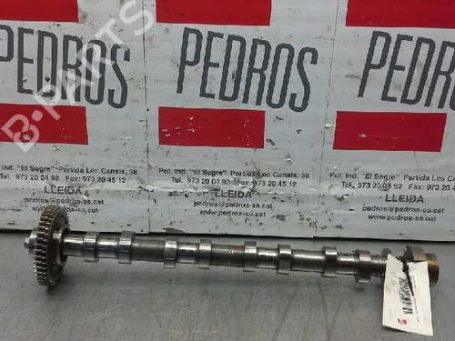 Used Other NISSAN QASHQAI / QASHQAI +2 I (J10, NJ10, JJ10E) [2006-2014]  14323872