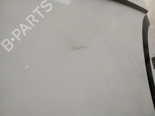 Left tailgate RENAULT MASTER III Van (FV) 2.3 dCi 150 FWD (FV0F, FV03, FV09) | BP32059642C76 