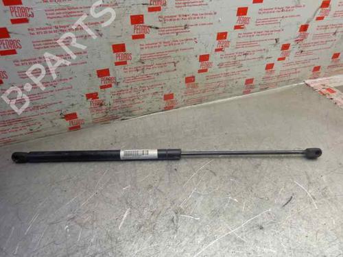 Used Hood lift support SEAT TOLEDO II (1M2) 1.9 TDI (110 hp) 14317221