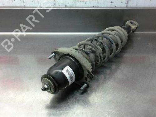 Right rear shock absorber TOYOTA COROLLA Verso (_E12_)  | BP610118M19 