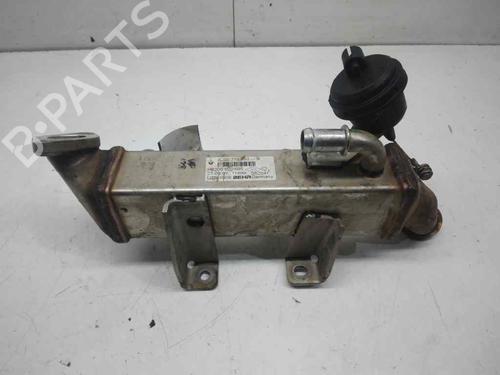 Egr NISSAN X-TRAIL II (T31)  | BP17034226M69 