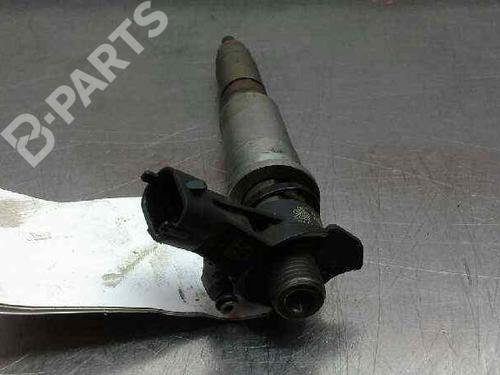 Injector NISSAN PATHFINDER III (R51) 3.0 dCi | BP2964219M100 