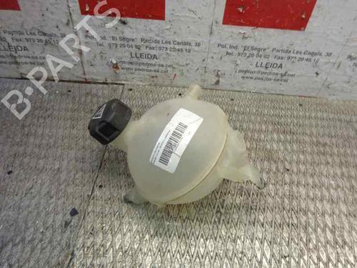 Used Expansion tank CITROËN C4 II (NC_) [2009-2025]  1619059