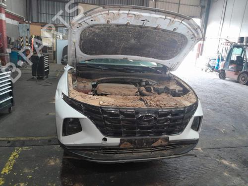 Left front indicator HYUNDAI TUCSON (NX4E, NX4A) | BP39715649C32 - Image 8