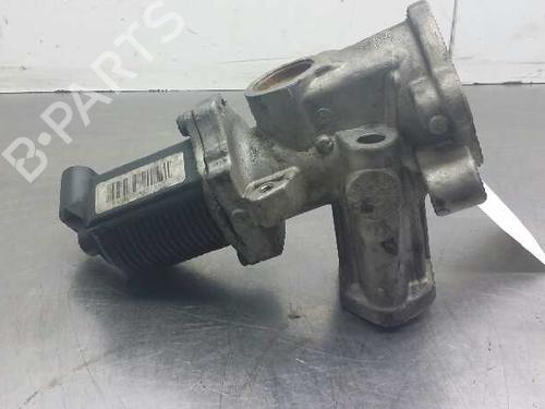 Used Egr FIAT DOBLO MPV (119_, 223_) 1.3 JTD (75 hp) 612704