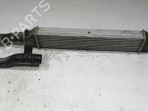 Intercooler FIAT DOBLO Cargo (263_) | BP10651338M30 - Image 3