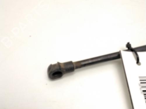 Tailgate lift support AUDI A4 B7 (8EC) 2.0 TDI | BP25226413C138 