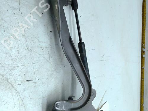 Hinge/Door check strap RENAULT GRAND SCÉNIC III (JZ0/1_) 1.5 dCi (JZ09, JZ0D, JZ10, JZ14, JZ1G, JZ29, JZ2C) | BP29566564C146 