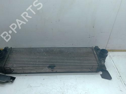 Used Intercooler MERCEDES-BENZ SPRINTER 3-t Van (B906) 214 CDI (906.611, 906.613) (143 hp) 30902944