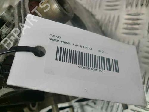 Cylinder head NISSAN PRIMERA Hatchback (P12) 1.9 dCi | BP10976555M5 