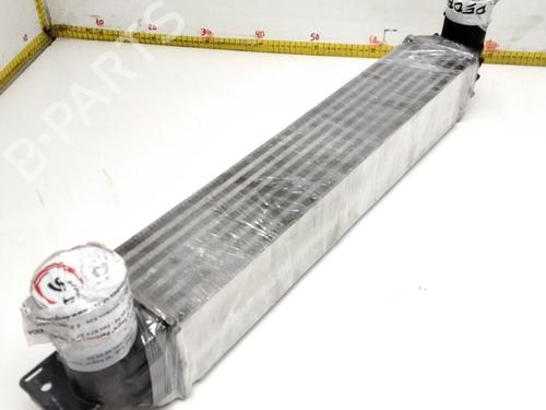 Intercooler CHEVROLET CAPTIVA (C100, C140)  | BP2513216M30 