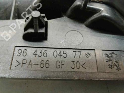 Front left interior door handle PEUGEOT 307 SW (3H)  | BP6989045I13 