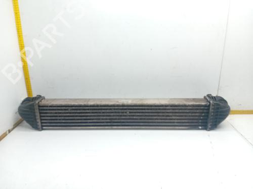 Intercooler MERCEDES-BENZ B-CLASS Sports Tourer (W245) B 180 CDI (245.207) | BP28123598M30 