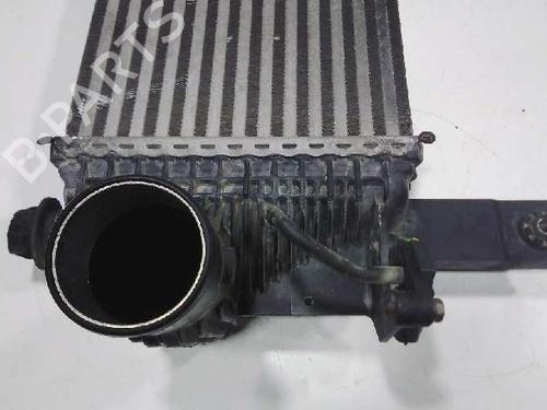 Intercooler NISSAN PATHFINDER III (R51)  | BP15681571M30 