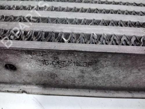 Intercooler RENAULT MEGANE II (BM0/1_, CM0/1_)  | BP10655887M30 