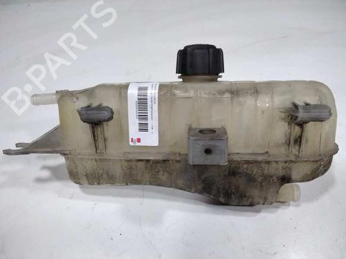 Used Expansion tank RENAULT CLIO III Grandtour (KR0/1_) [2007-2025]  17055675